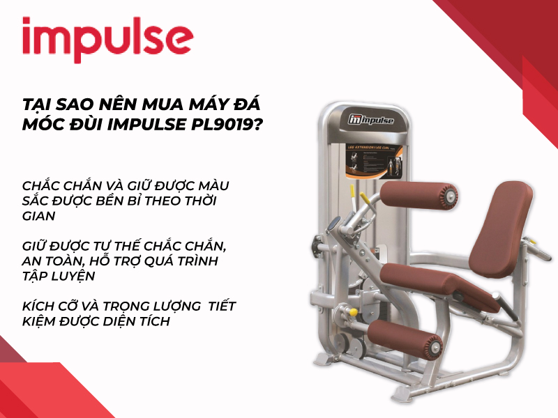 Tại sao nên mua máy đá móc đùi Impulse PL9019