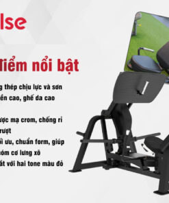 Đặc điểm nổi bật