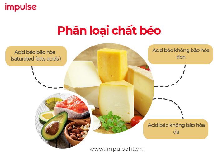 chất béo