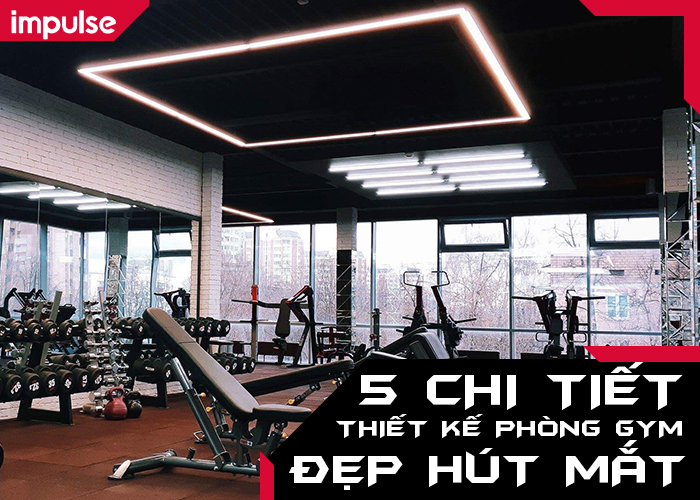 thiết kế phòng gym đẹp