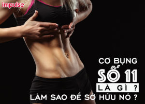 cơ bụng số 11 là gì