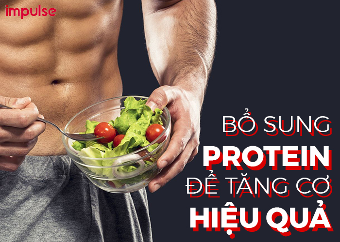 thực phẩm protein tăng cơ