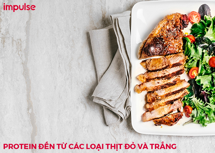 thực phẩm protein tăng cơ