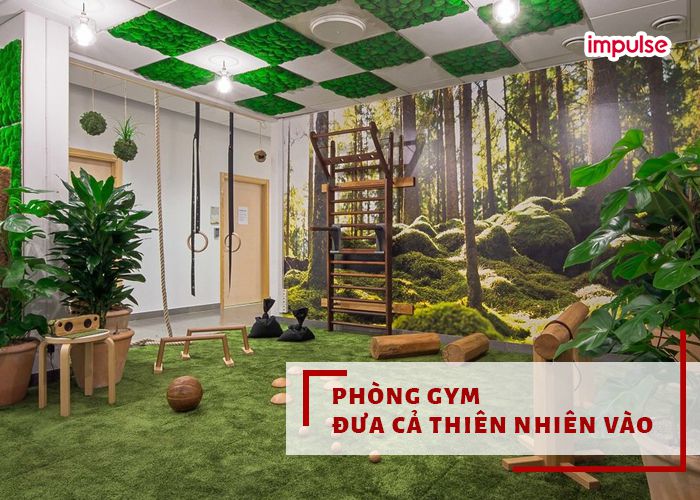 10 mẫu thiết kế phòng tập gym có giá 500 - 700