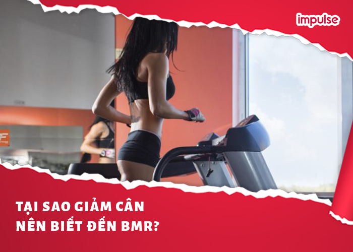 BMR và những điều cần biết liên quan đến giảm cân