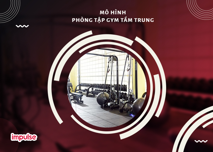 setup phòng gym kinh doanh