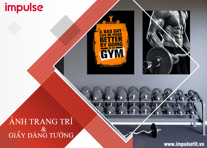 trang trí phòng gym