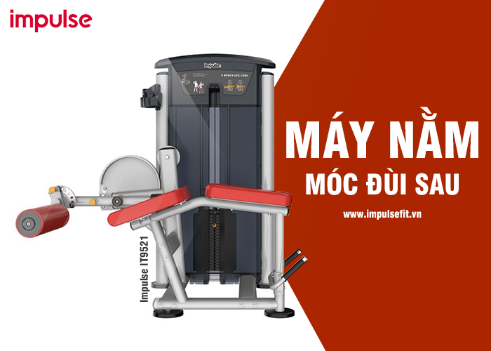 Tổng hợp 6 dòng máy tập đùi phòng tập chuyên nghiệp đều cần