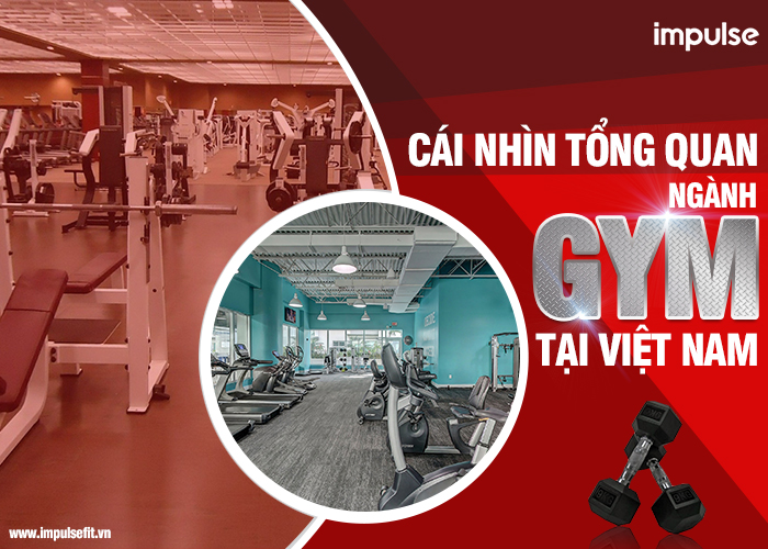 tổng quan ngành gym