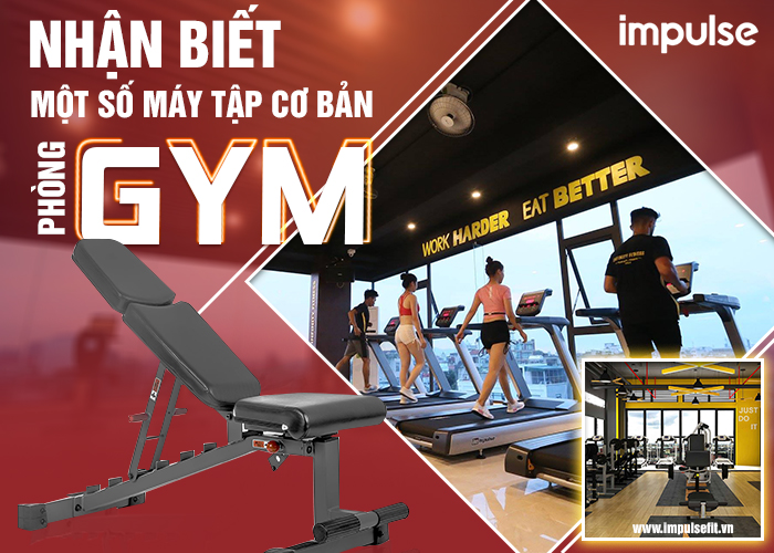 máy tập cơ bản phòng gym