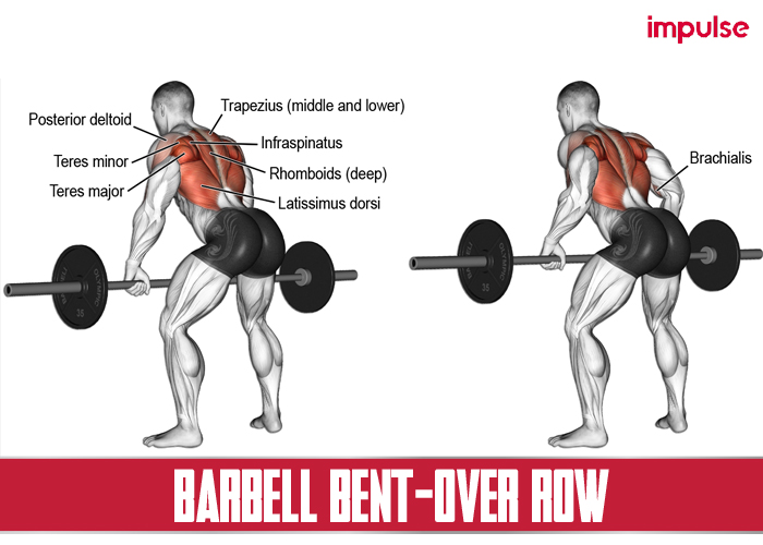 barbell bent over row