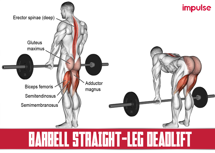 barbell straight leg deadlift