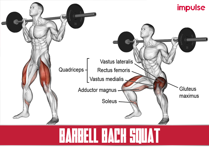 barbell bach squat