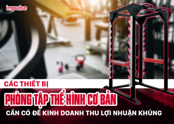 Các Thiết Bị Phòng Tập Thể Hình Cơ Bản Cần Có để Kinh Doanh Thu Lợi ...