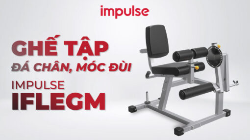 Ghế tập đá chân, móc đùi Impulse IFLEGM
