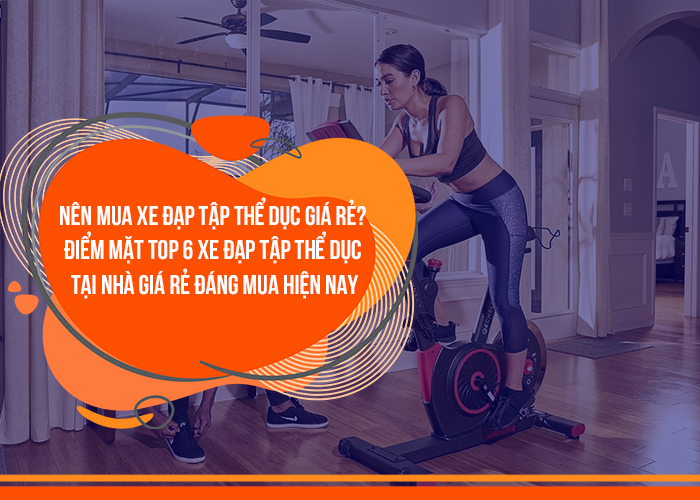 xe đạp tập thể dục tại nhà giá rẻ