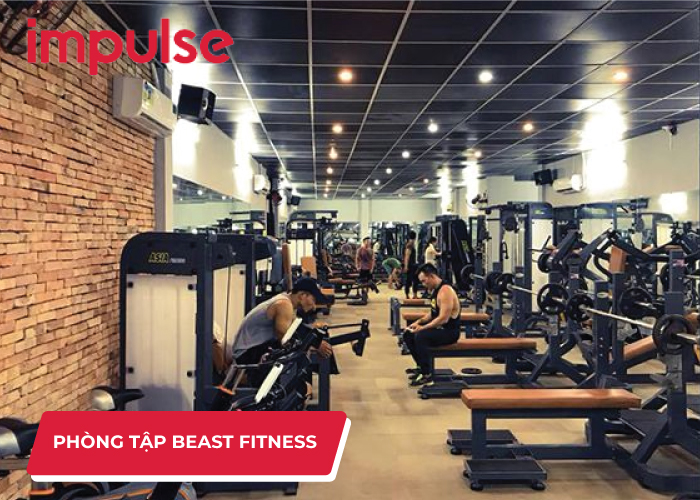 Phòng tập gym Tân Bình Beast Fitness